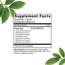 Cargar imagen en el visor de la galería, Good Flora® | Probióticos | 15 Billones de Organismos Vivos El-poder-del-metabolismo-frank-suarez adelgazar naturalmente metabolismotv unimetab candiseptic kit de candida mejorar el metabolismo y la salud