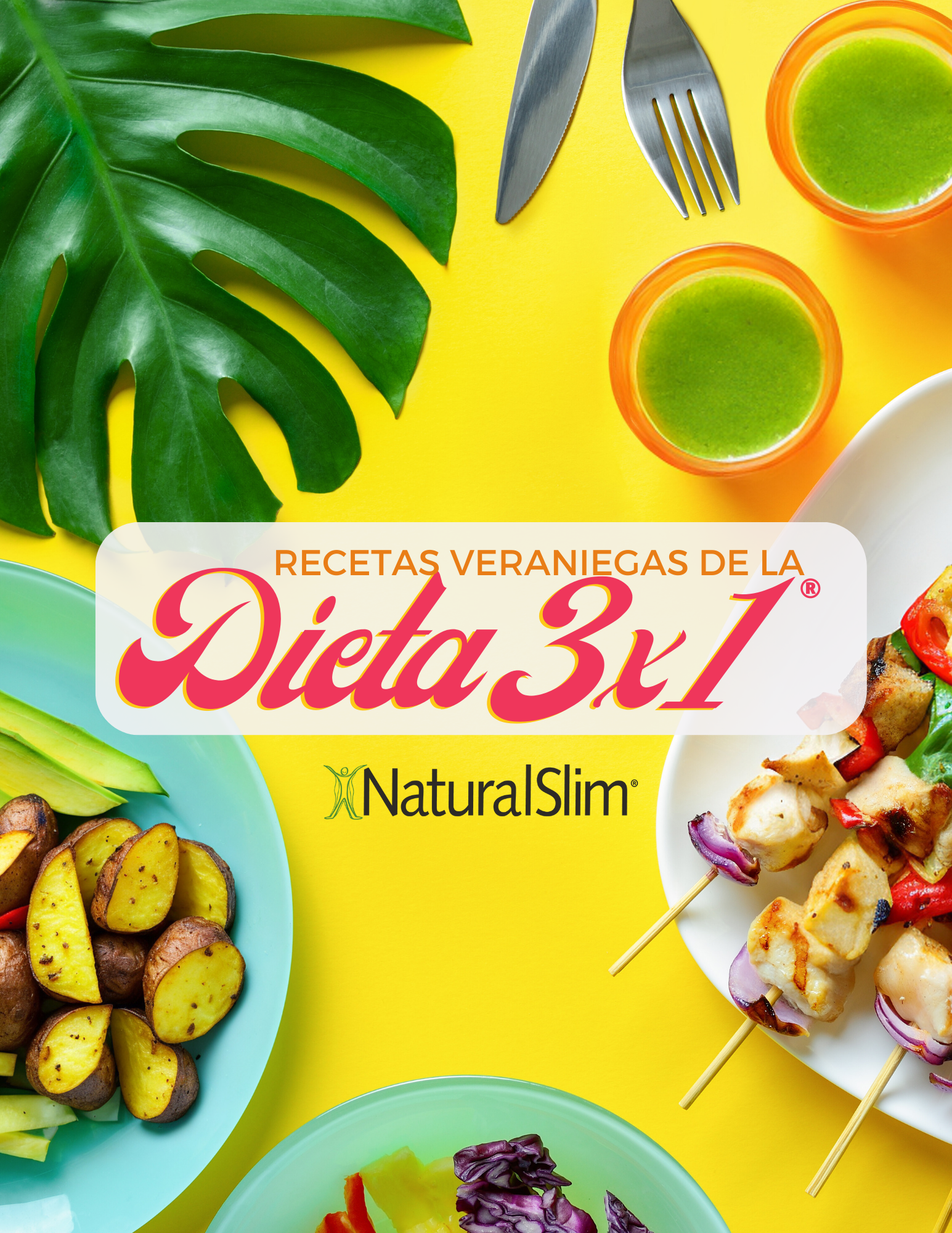 Guia de Recetas Veraniegas de la Dieta 3x1®