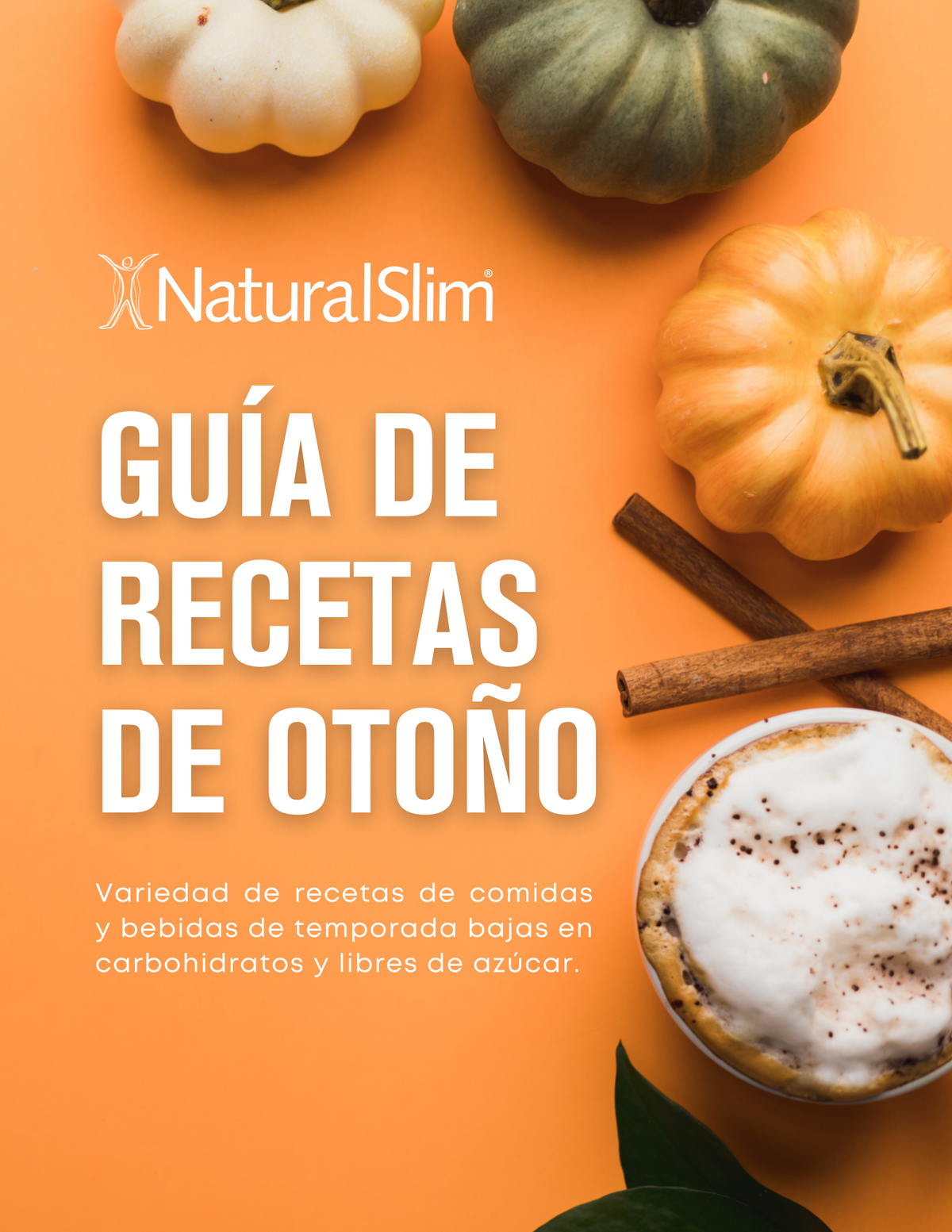 GUÍA DE RECETAS DE OTOÑO DE NATURALSLIM - LOW CARB & SUGAR FREE GRATIS